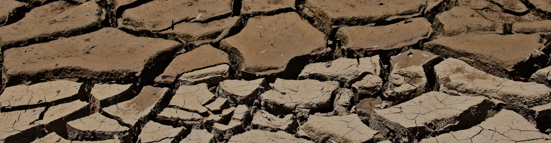 solutions-pour-la-grande-consommation