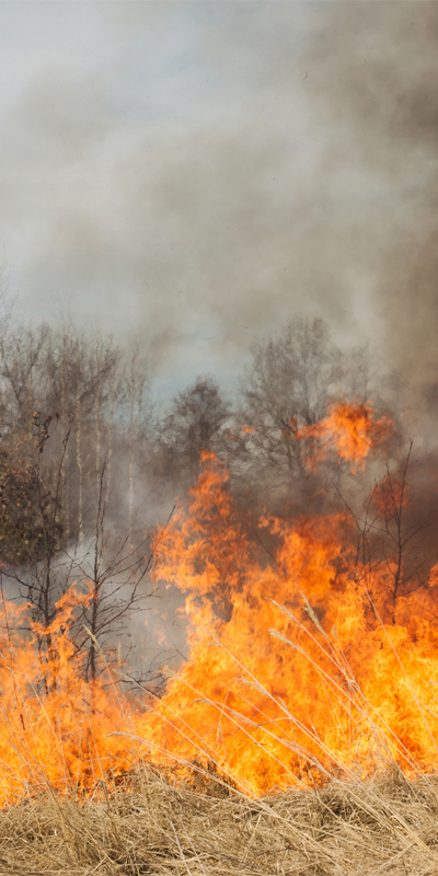 geoconcept-gis-wildfire-management